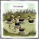 Smile Girl♥ фотография #10 (источник - https://vk.com/id133253285)