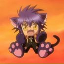 Фотография Кошатницы Котьки