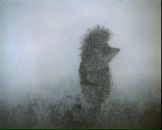 Фотография Пушкаревой Татьяны