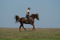 Фотография Новикова Виктора