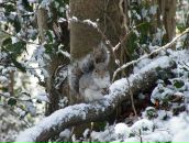 Андрій Пасічник фотография #32 (источник - https://vk.com/id7692358)