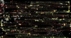 Фотография Царёва Алексея