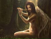 Фотография Афанасьев Александр