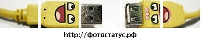 Антон Лифанов фотография #46 (источник - https://vk.com/id347872)