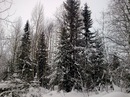 Мішаня Штефуряк фотография #31 (источник - https://vk.com/id135534056)