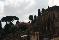 Фотография Жизневской Ольги