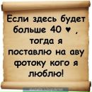 Тім-Тімовичь Барсік фотография #2 (источник - https://vk.com/id169473503)