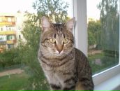 Фотография Бочкаревой Елены