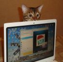 Фотография Kizilova Irina