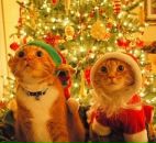 Фотография Токрановой Лады