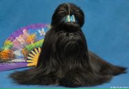 Фотография Антоновой Ольги