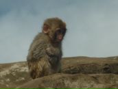 Фотография Патыковского Кости