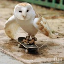 Антон Вівчарик фотография #4 (источник - https://vk.com/id95315441)