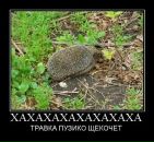 Андрій Дущак фотография #37 (источник - https://vk.com/id95316846)