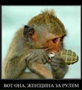 Фотография Морозовой Ольги