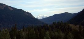 Миша Мишин фотография #18 (источник - https://vk.com/id7496491)