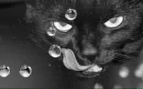 Фотография Громовой Елены