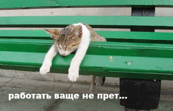 Дмитрий Ермаков фотография #50