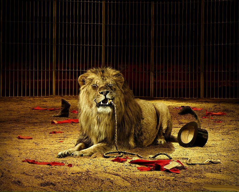 Дмитрий Горбачев фотография #13