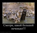 Владік Голод фотография #26 (источник - https://vk.com/id110295605)