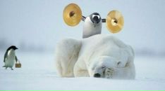 Фотография Сушилина Евгения