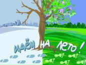 Фотография Светловой Кристины