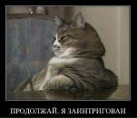 Фотография Стромова Дениса