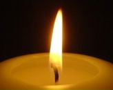 Фотография Шалыгиной Анастасии