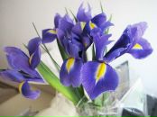 Фотография Максимовой Ирины