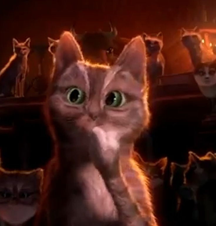 Сергей Дигорь фотография #33