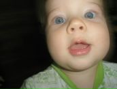 Фотография Painkiller Denis