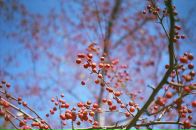 Фотография Zhdanova Alina