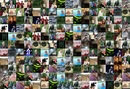 Святослав Вільжановський фотография #11 (источник - https://vk.com/id134003548)