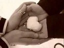 Фотография Костиной Екатерины