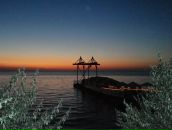 Міша Motsa фотография #20 (источник - https://vk.com/id52852421)