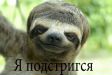  фотография #9