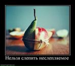 Вика Ткаченко-Малинкина фотография #16 (источник - https://vk.com/id4354431)