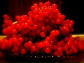 Фотография Калиненковой Евгении