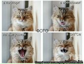 Андрій Кулакевич фотография #33 (источник - https://vk.com/id17212906)