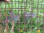 Фотография Крюкова Андрея