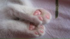 Фотография Муравьёвой Марии