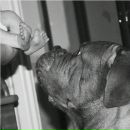 Фотография Елисеевой Светланы