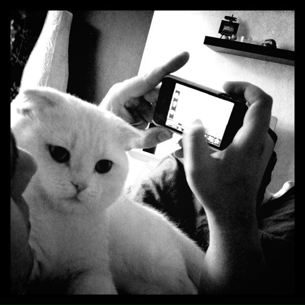 Эля Лёшенка фото №24