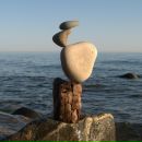 Фотография Соколовского Александра