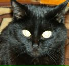 Фотография Сурниной Ксении