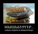 Игорь Темник фотография #25 (источник - https://vk.com/id96615668)