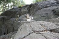 Фотография Арсентьева Александра