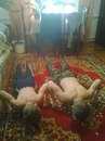 Толік Загрибельний фотография #14 (источник - https://vk.com/id158597301)