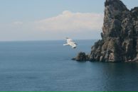 Фотография Golub Nataly