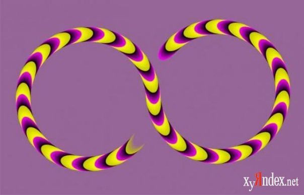 Иван Иванов фото №13